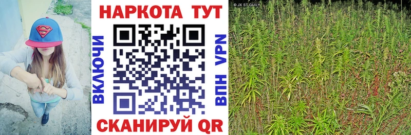Купить закладку Cocaine Меф мяу мяу Alpha PVP Псилоцибиновые грибы ГАШ Канабис Мещовск