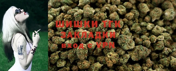 амф Дмитров