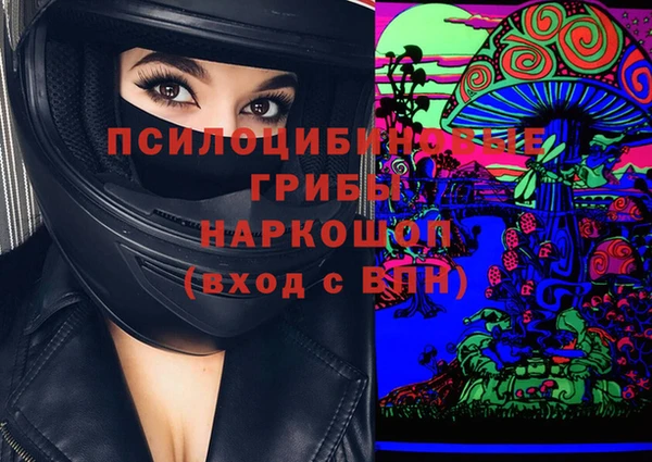 прущие крисы Дмитриев