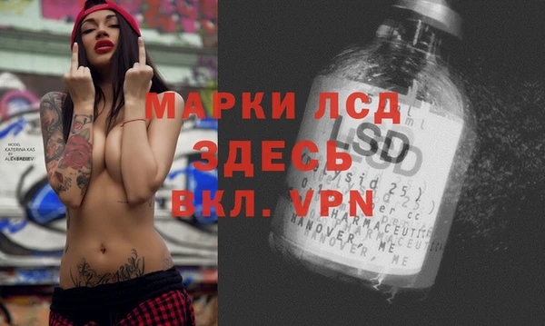 амф Дмитров