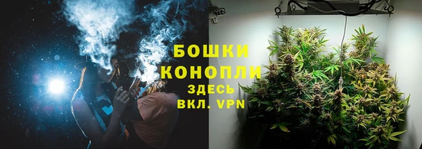 прущие крисы Дмитриев
