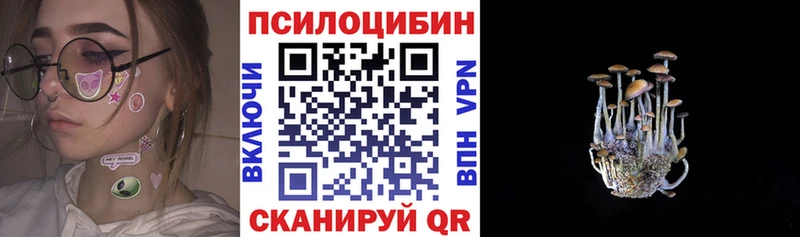 Купить закладки  Мещовск  Галлюциногенные грибы прущие грибы 